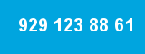 929 123 88 61 929 123 88 61